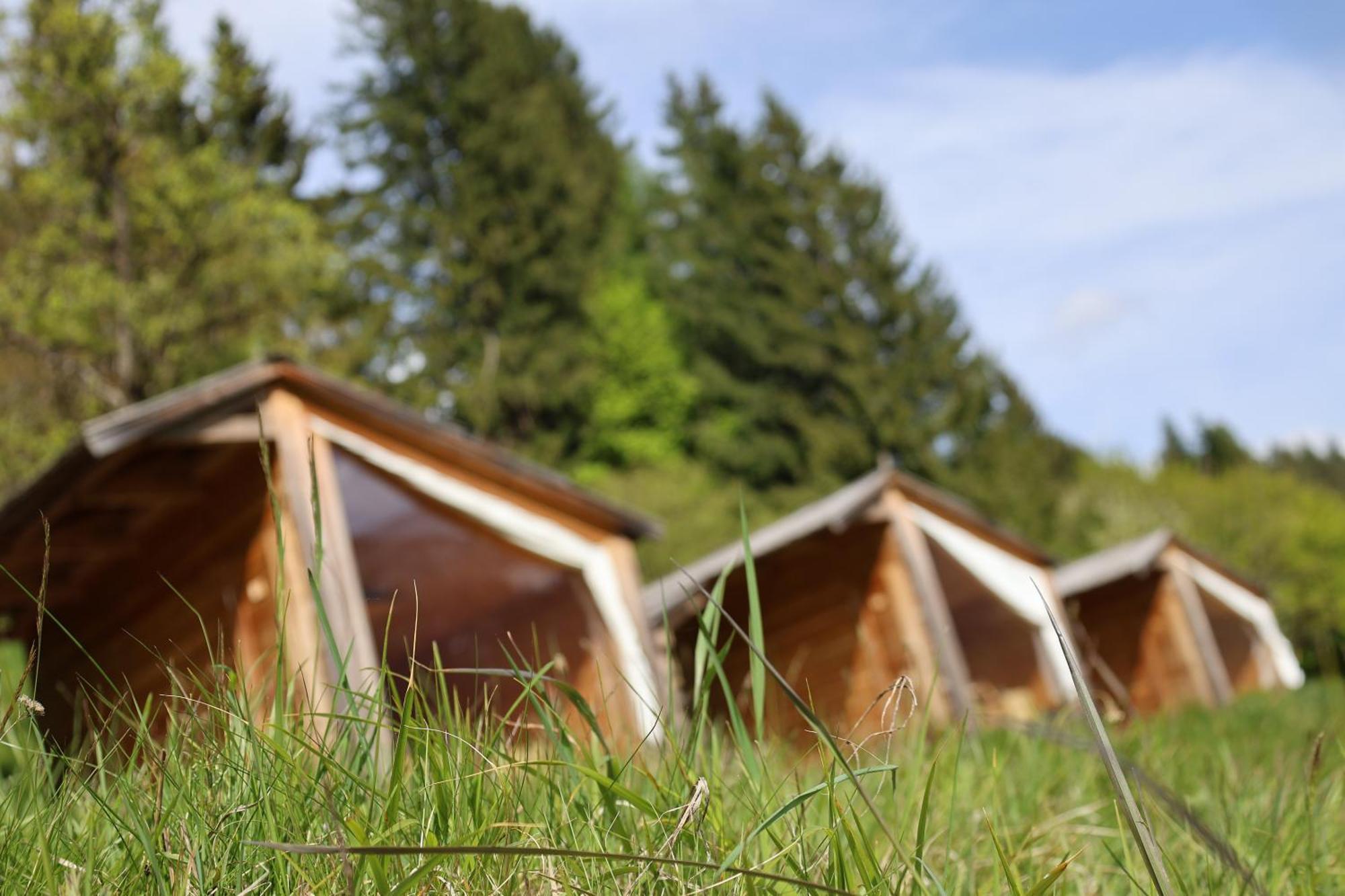 Mountain View Glamping Villa Dovje Eksteriør billede
