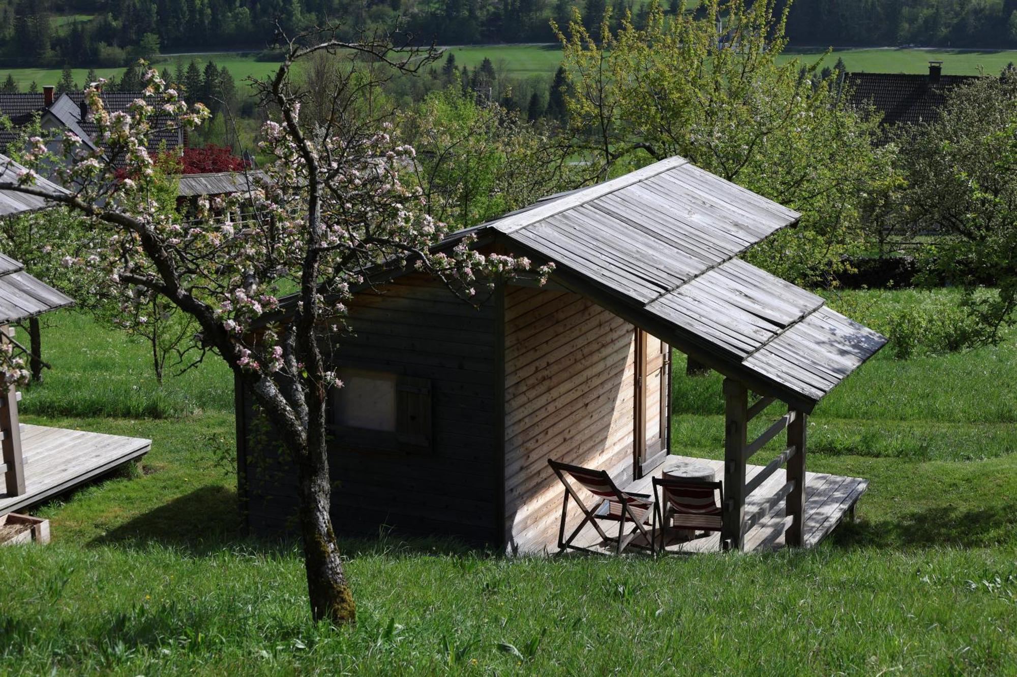 Mountain View Glamping Villa Dovje Eksteriør billede