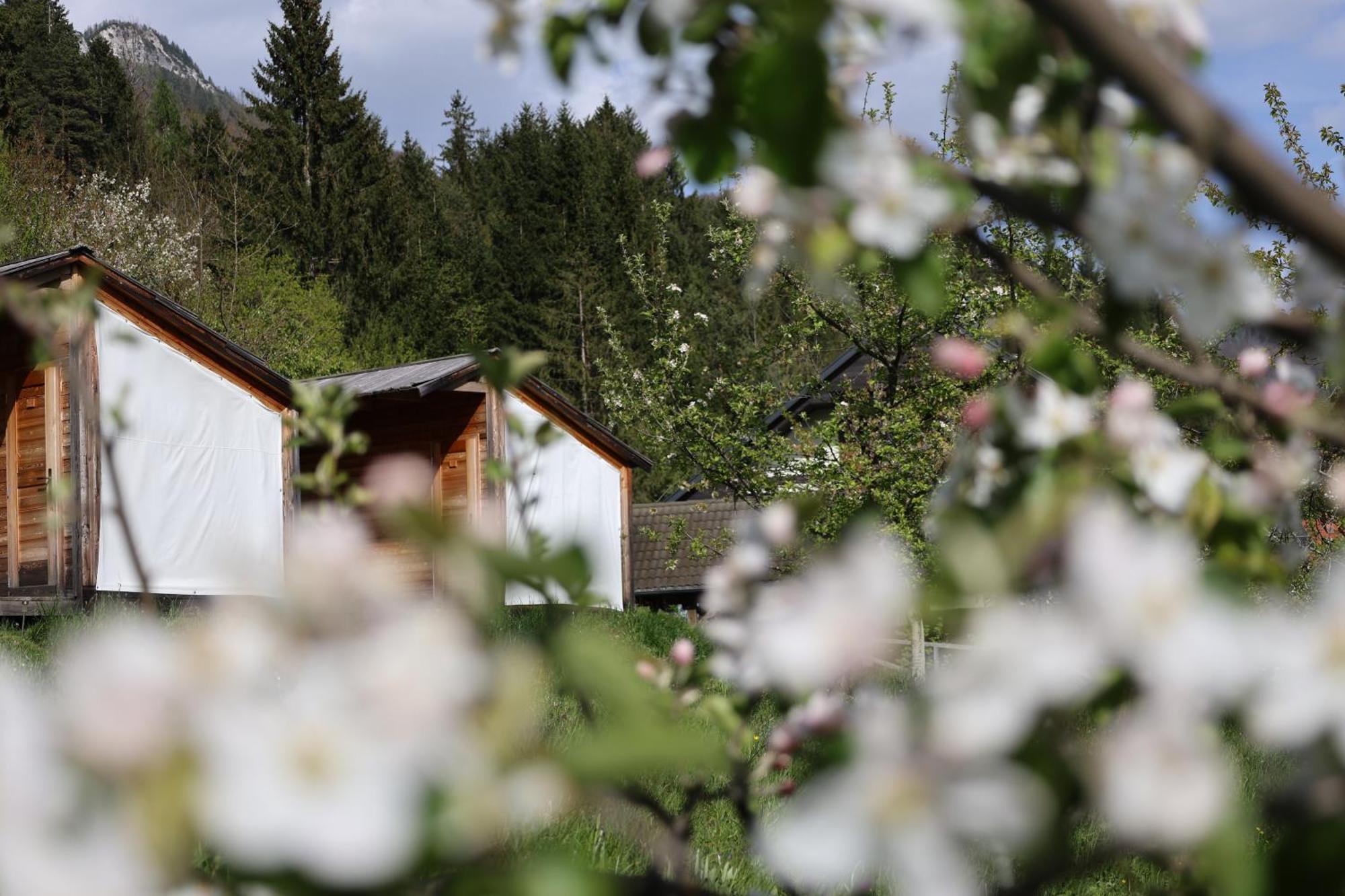 Mountain View Glamping Villa Dovje Eksteriør billede