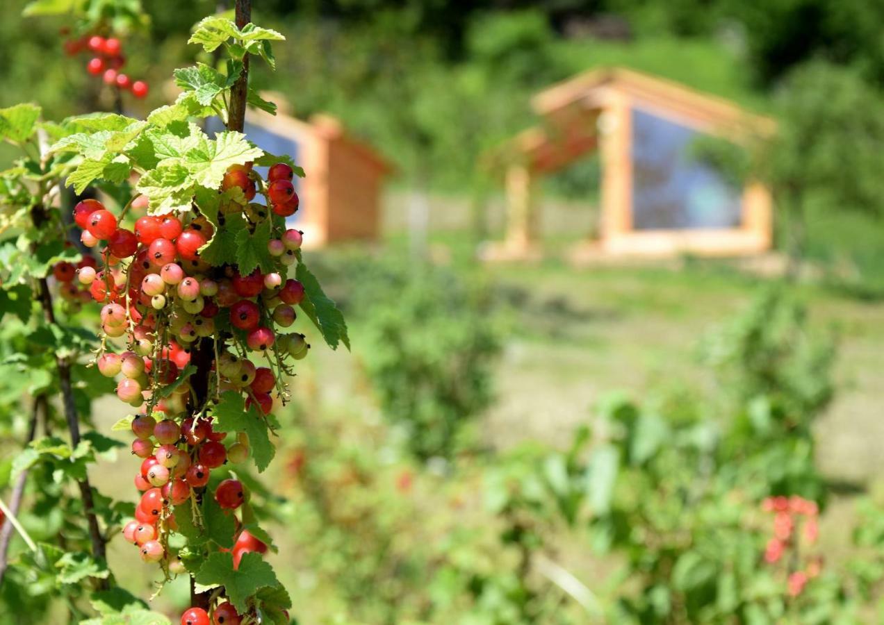 Mountain View Glamping Villa Dovje Eksteriør billede