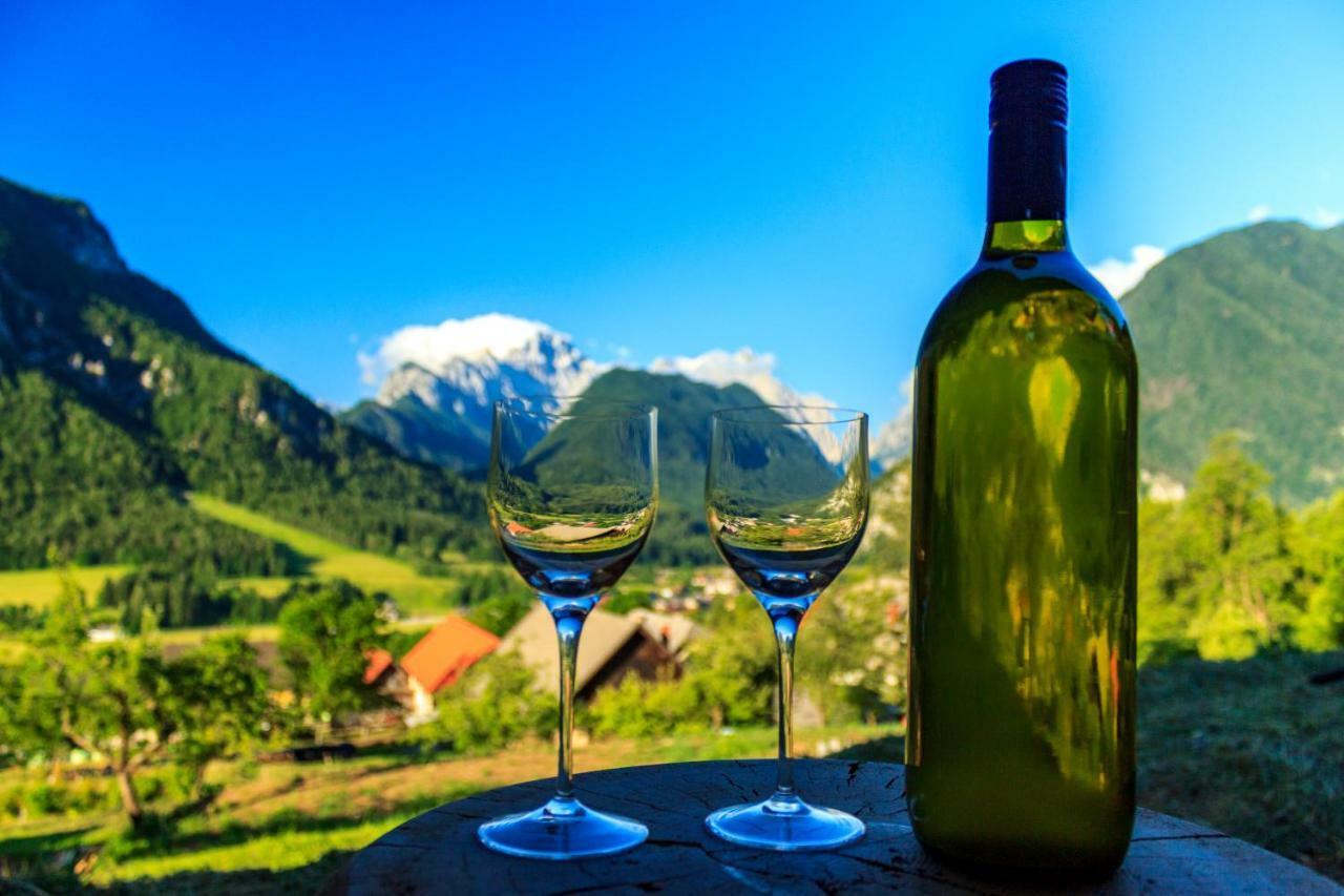 Mountain View Glamping Villa Dovje Eksteriør billede