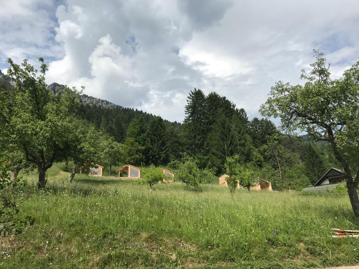 Mountain View Glamping Villa Dovje Eksteriør billede