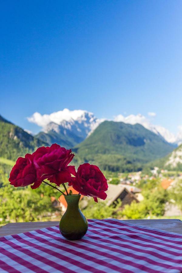Mountain View Glamping Villa Dovje Eksteriør billede