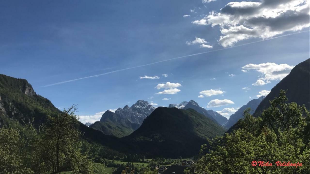 Mountain View Glamping Villa Dovje Eksteriør billede