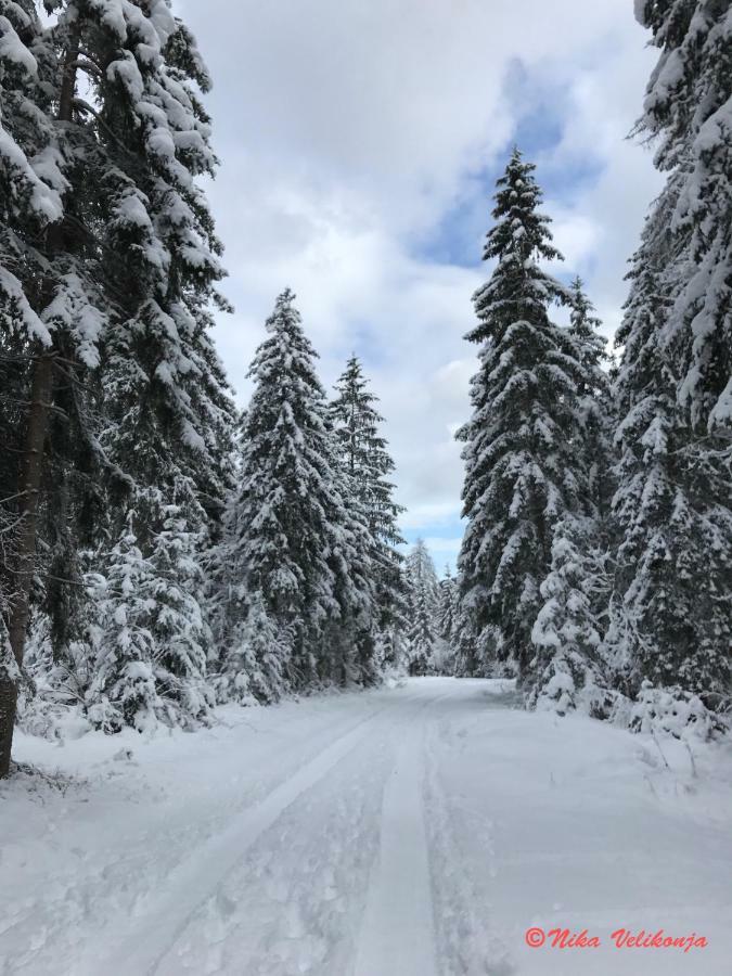Mountain View Glamping Villa Dovje Eksteriør billede