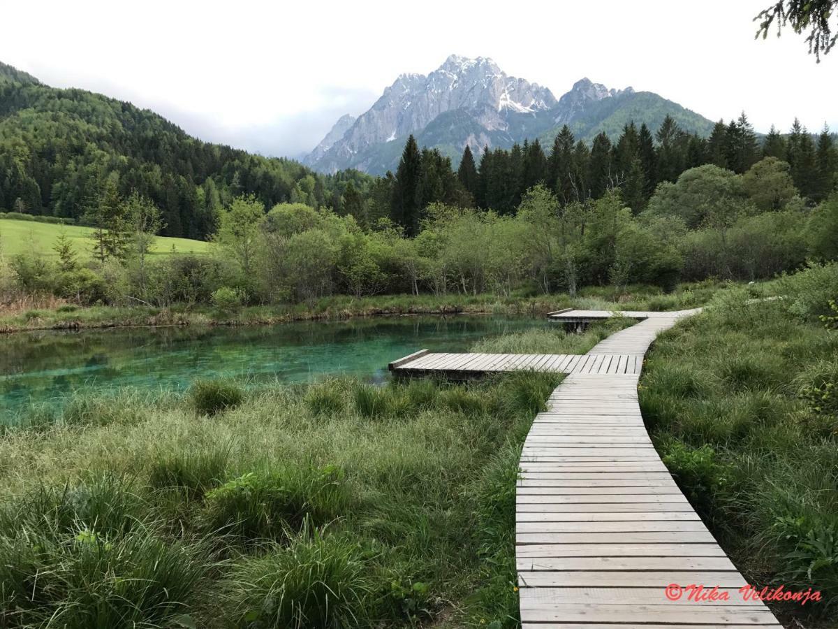 Mountain View Glamping Villa Dovje Eksteriør billede