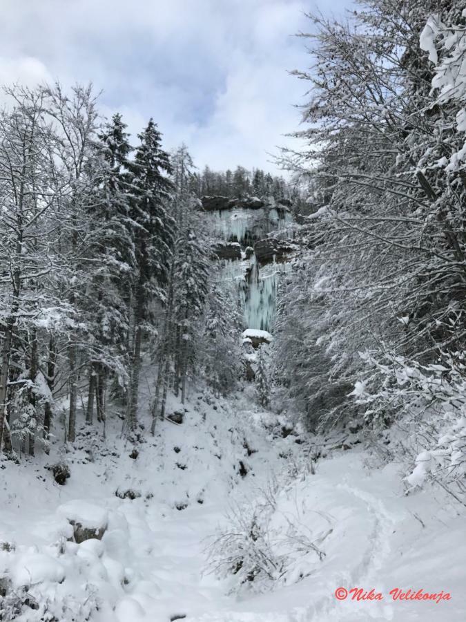Mountain View Glamping Villa Dovje Eksteriør billede